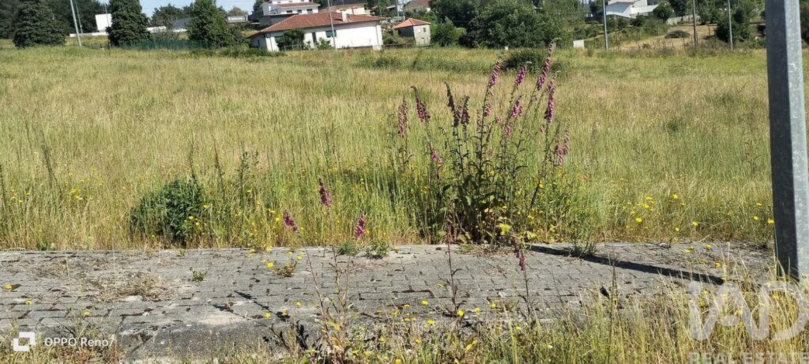 Terreno para Venda em Fonte Arcada e Oliveira Foto 29