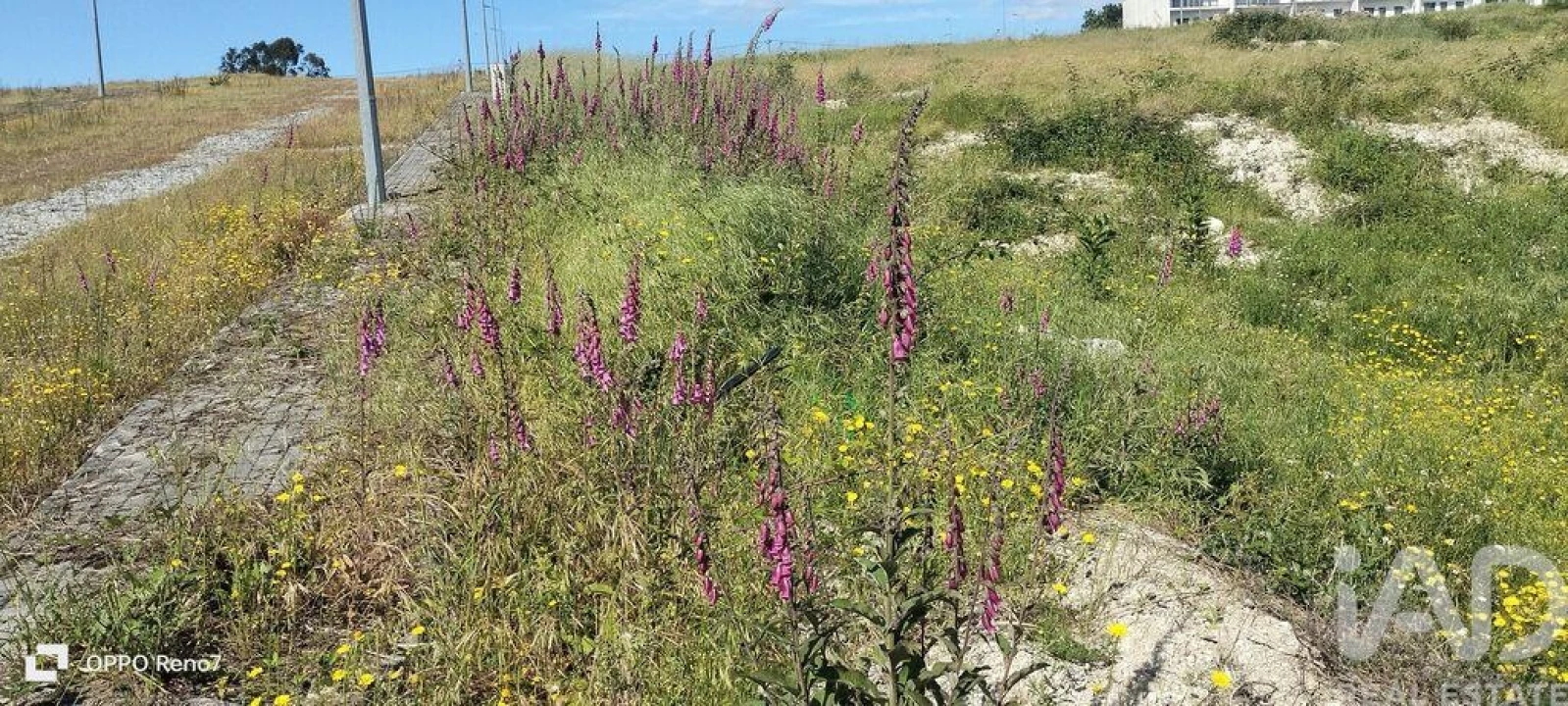 Terreno para Venda em Fonte Arcada e Oliveira Foto 26