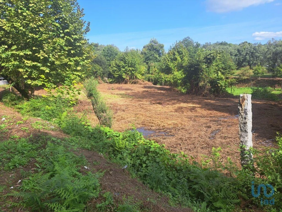 Terreno para Venda em Dossãos Foto 3