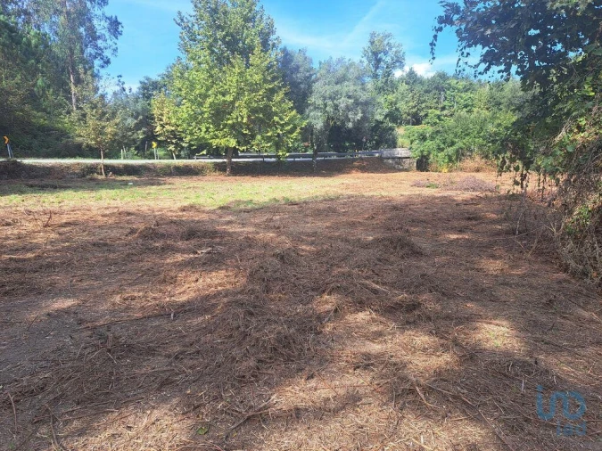 Terreno para Venda em Dossãos Foto 7