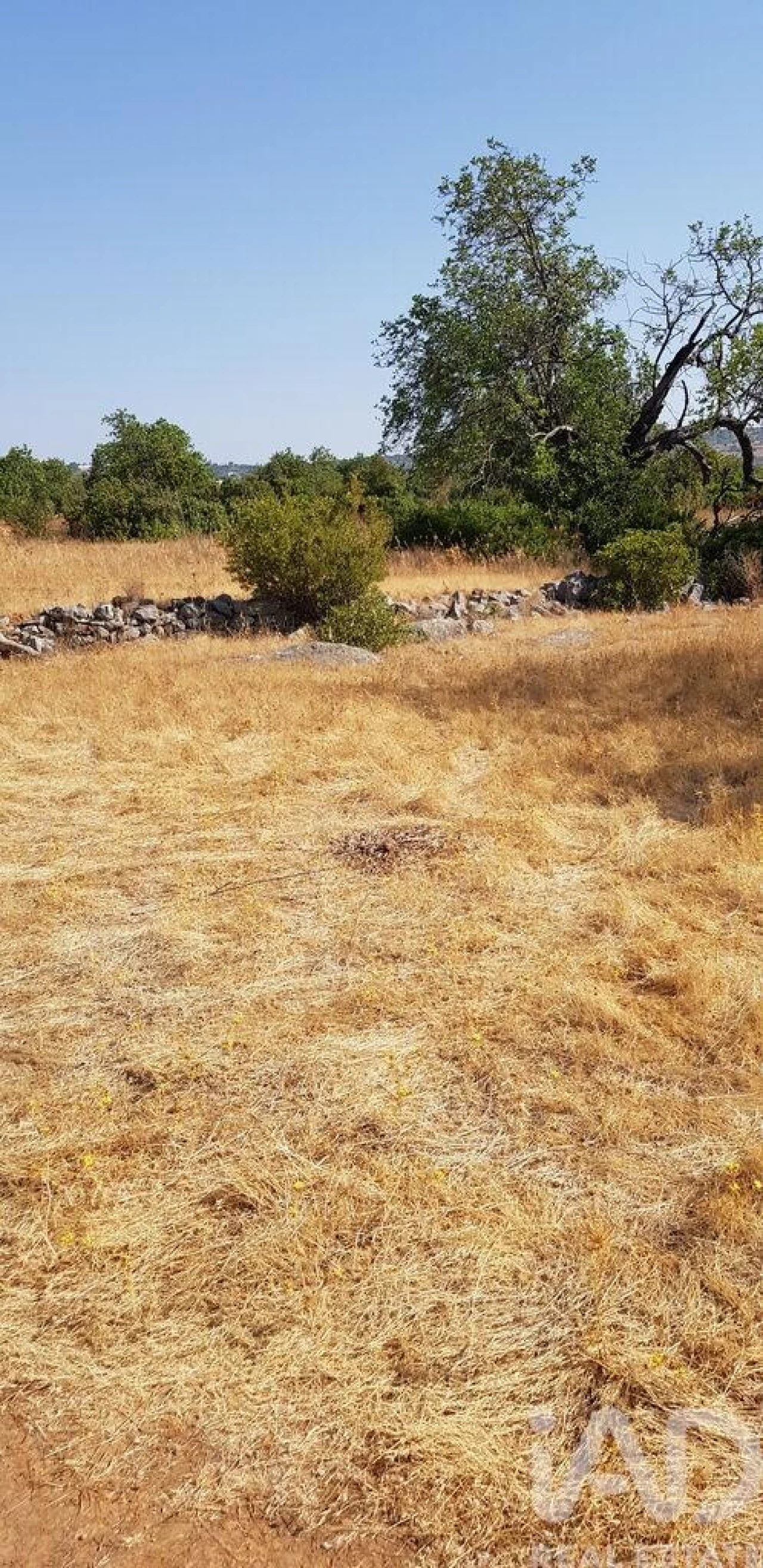 Terreno para Venda em Boliqueime Foto 1