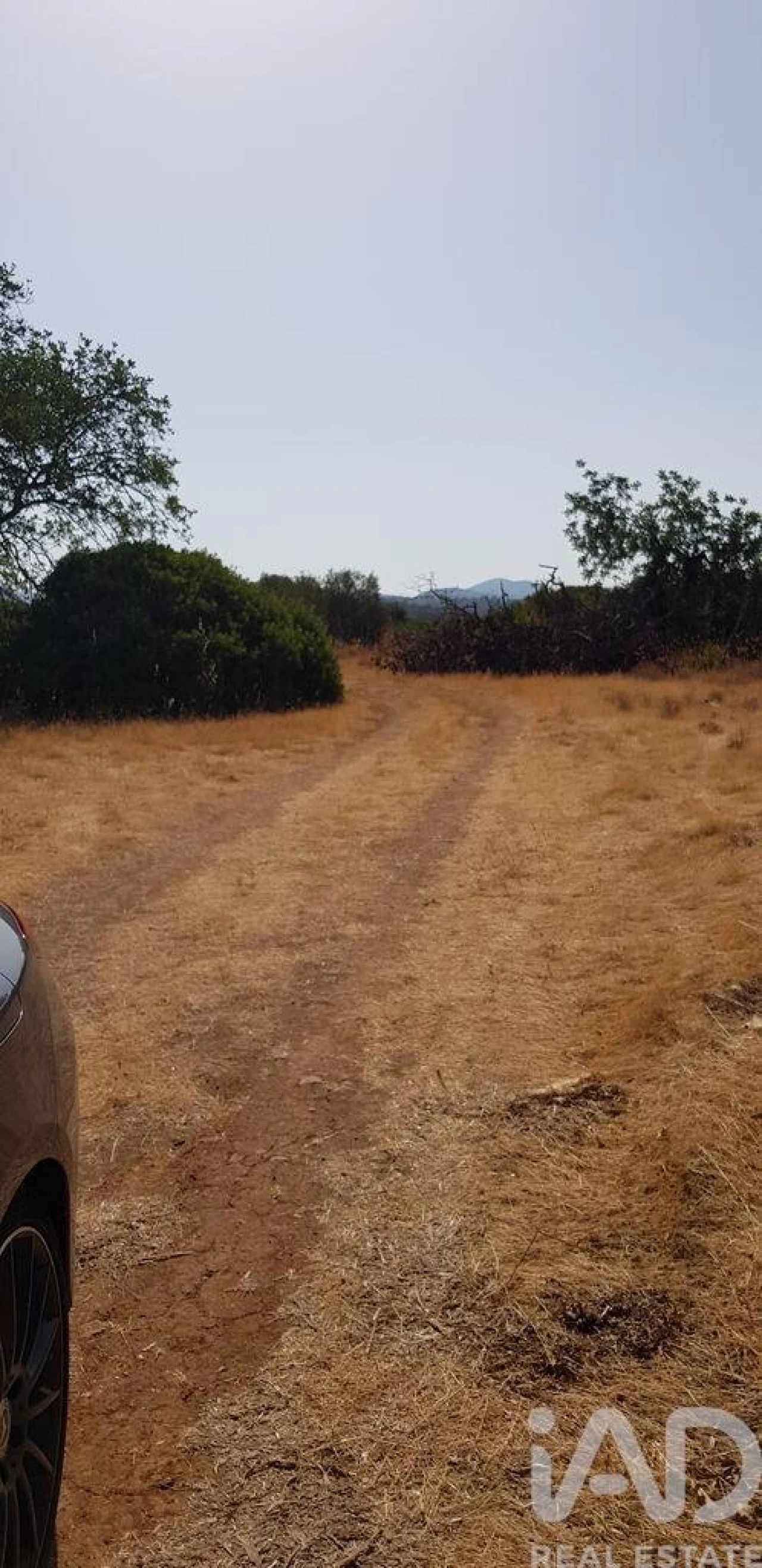 Terreno para Venda em Boliqueime Foto 3
