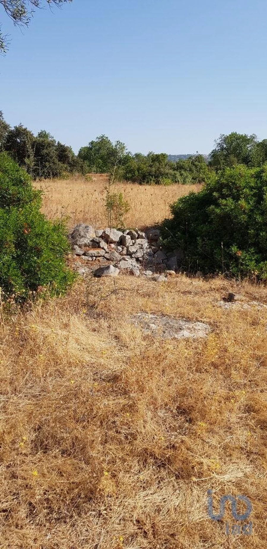 Terreno para Venda em Boliqueime Foto 5