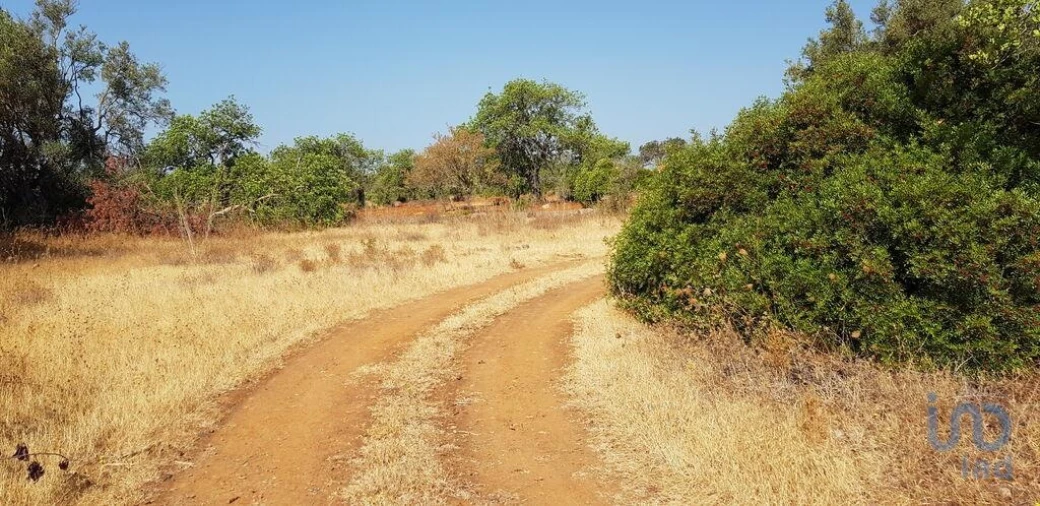 Terreno para Venda em Boliqueime Foto 2