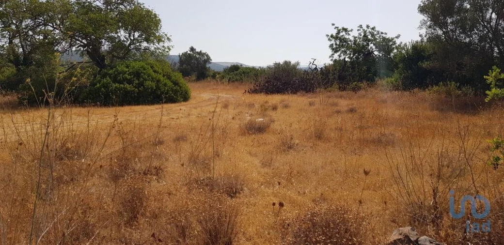Terreno para Venda em Boliqueime Foto 4