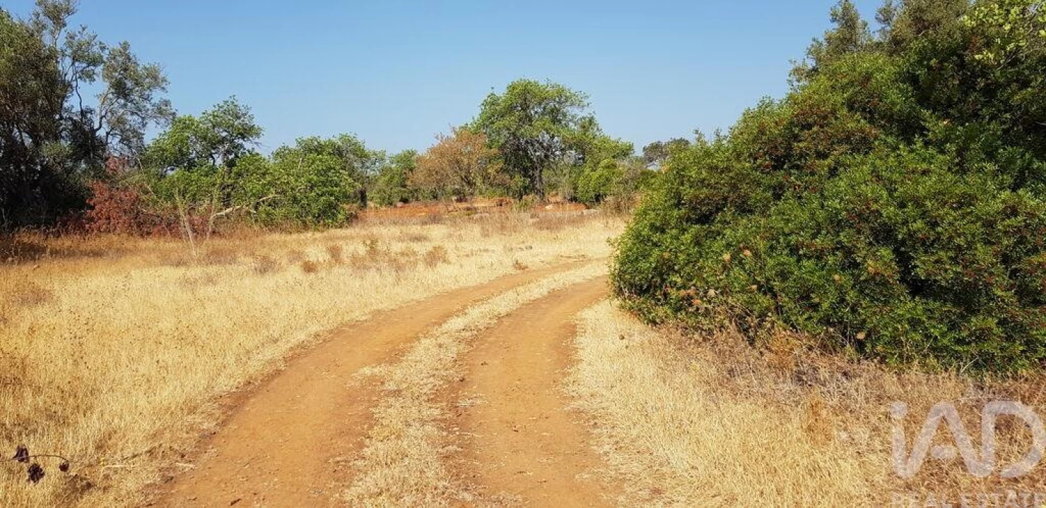 Terreno para Venda em Boliqueime Foto 2
