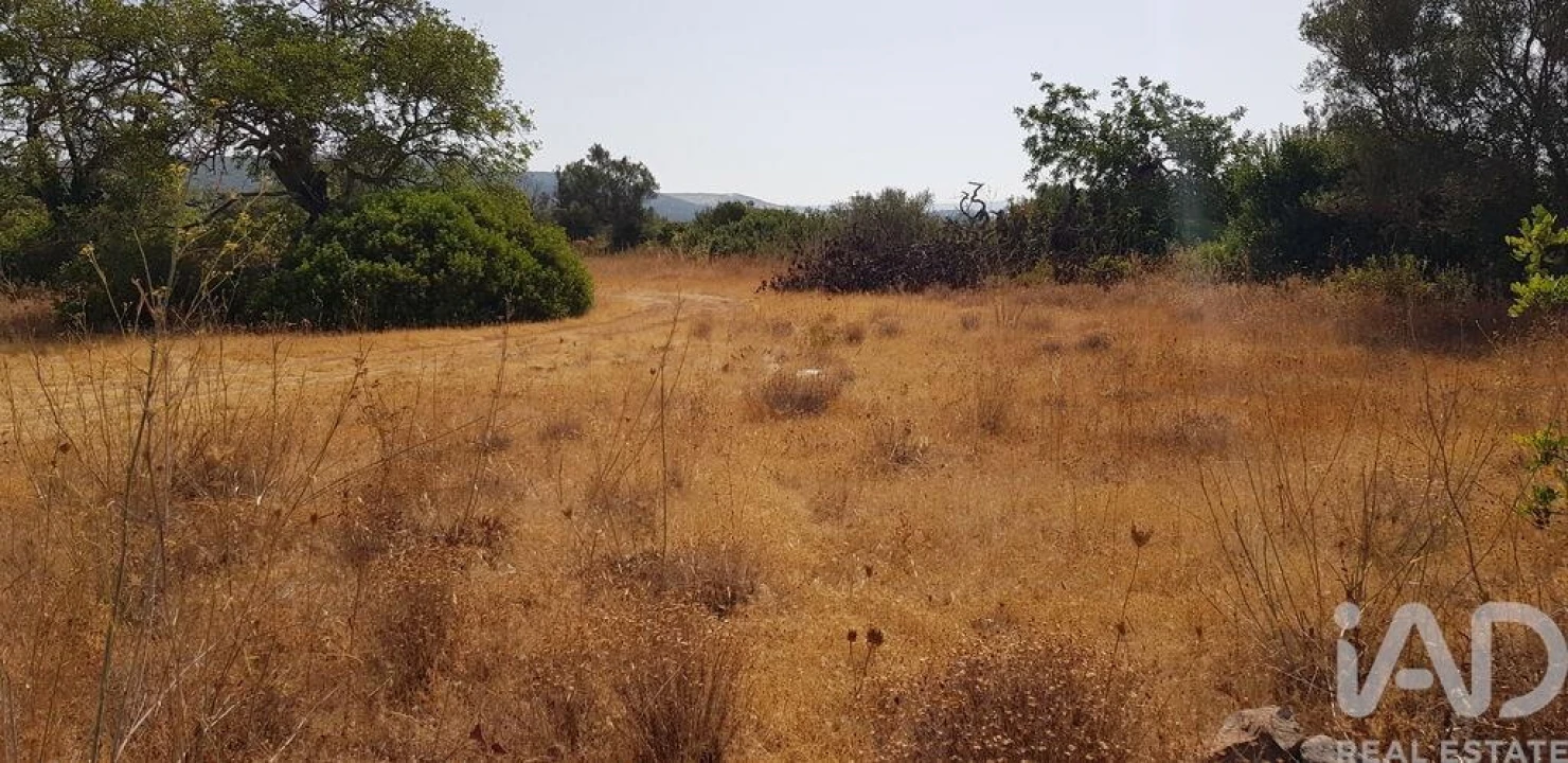 Terreno para Venda em Boliqueime Foto 4