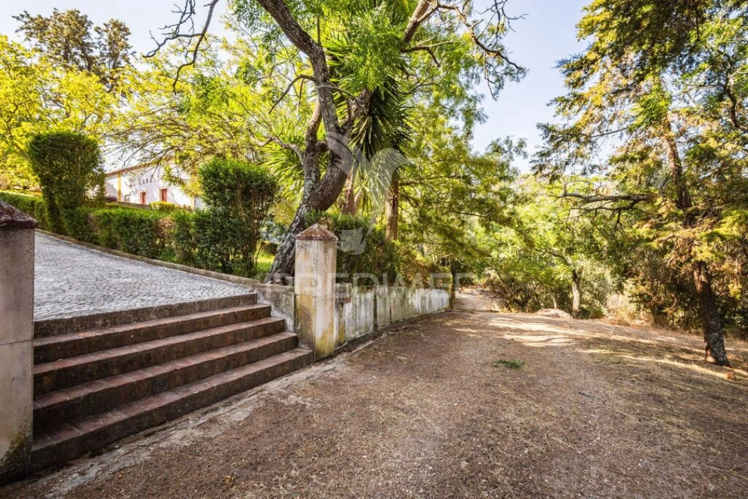 Quinta para Venda em Meia Via Foto 9