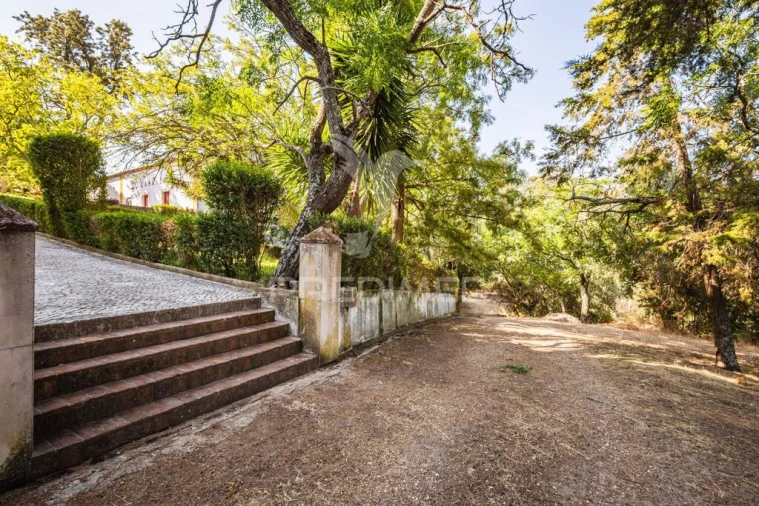 Quinta para Venda em Meia Via Foto 9