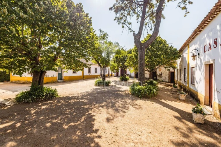 Quinta para Venda em Meia Via Foto 4