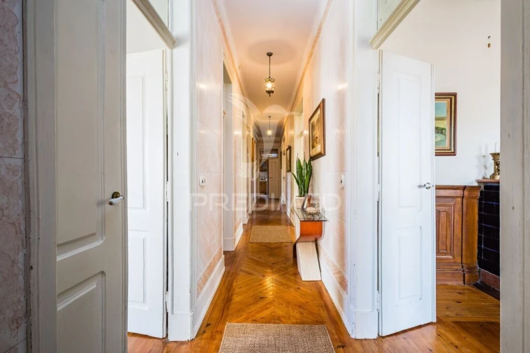 Quinta para Venda em Meia Via Foto 15