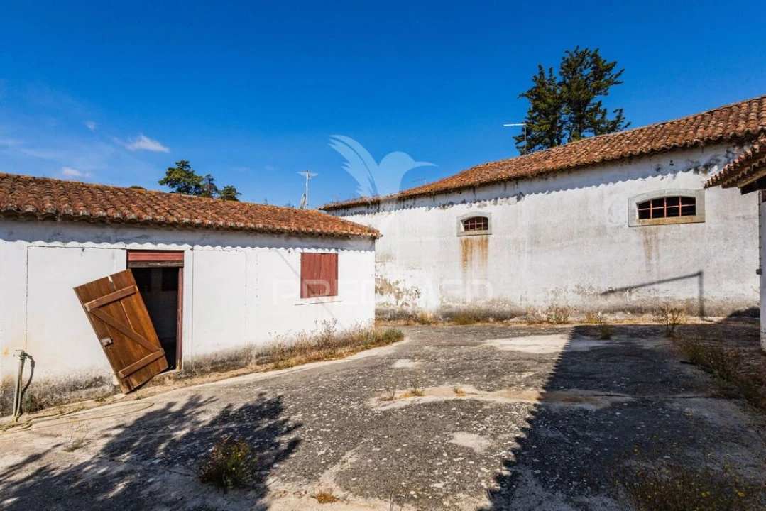 Quinta para Venda em Meia Via Foto 7