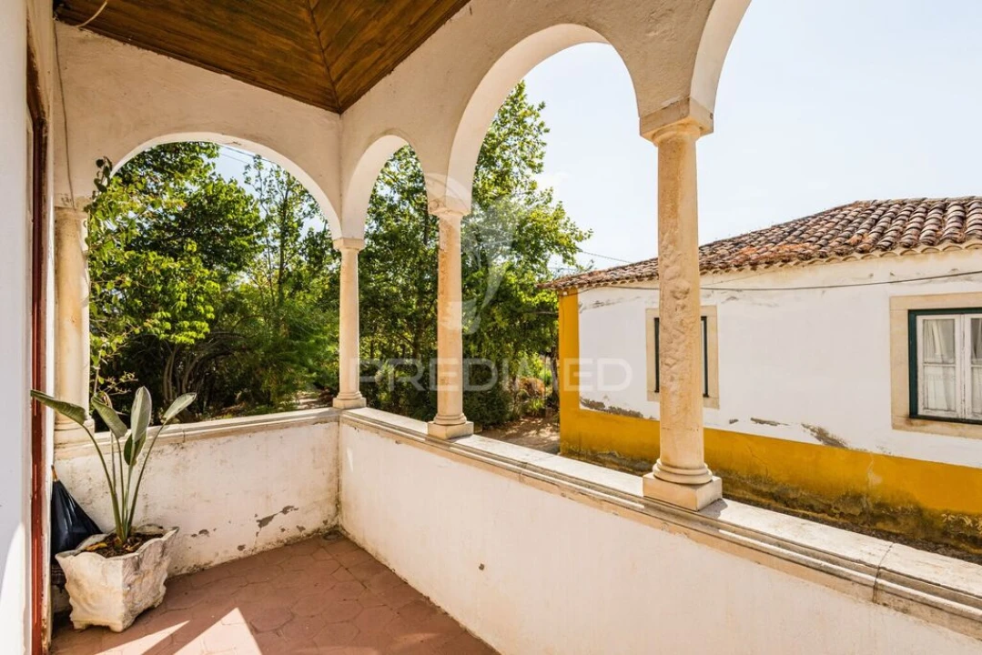 Quinta para Venda em Meia Via Foto 2