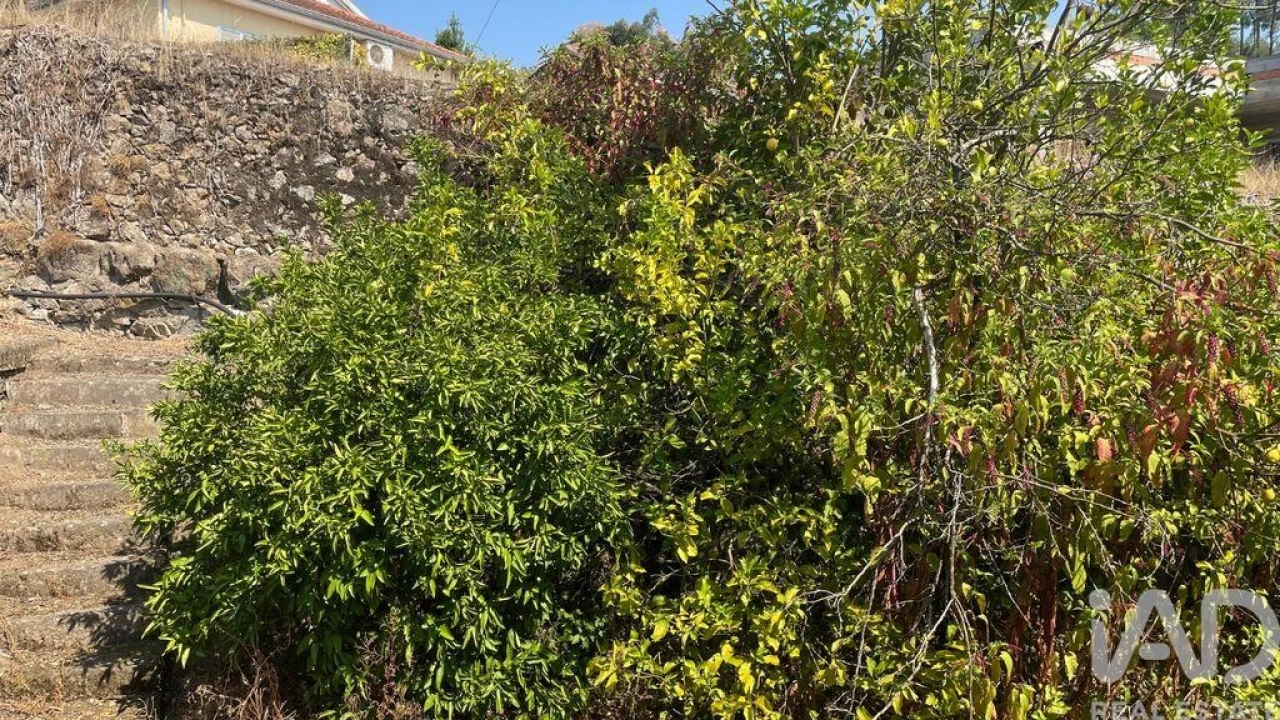 Moradia T4 para Venda em Escariz (São Mamede) e Escariz (São Martinho) Foto 15