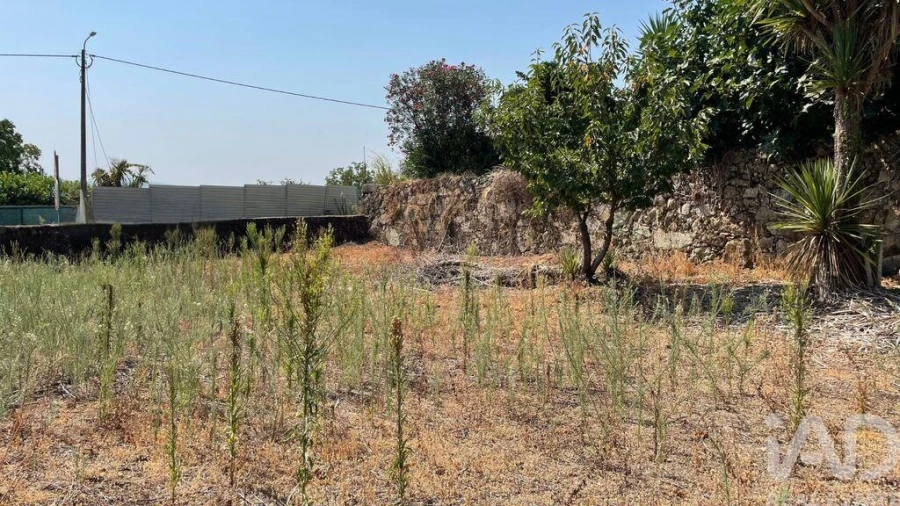 Moradia T4 para Venda em Escariz (São Mamede) e Escariz (São Martinho) Foto 22