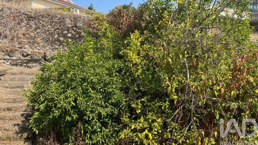 Moradia T4 para Venda em Escariz (São Mamede) e Escariz (São Martinho) Foto 15