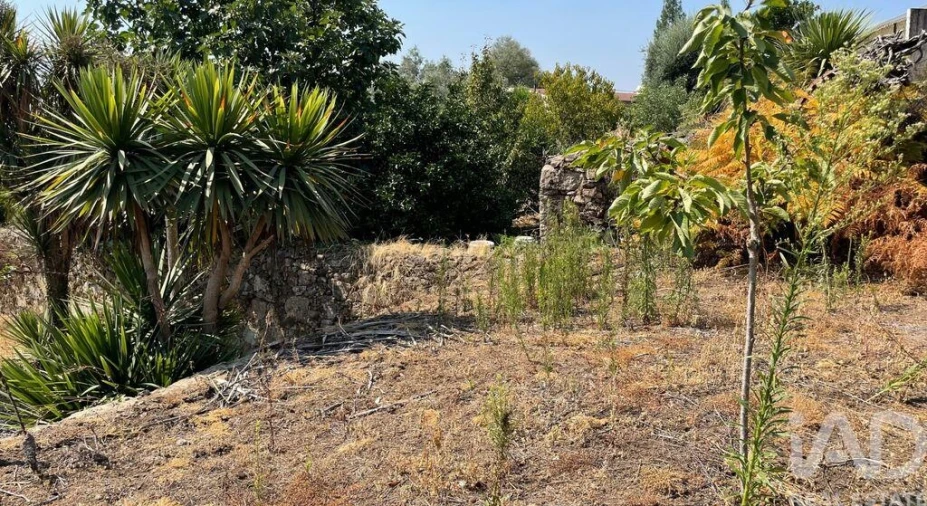 Moradia T4 para Venda em Escariz (São Mamede) e Escariz (São Martinho) Foto 11