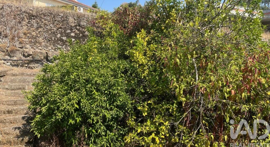 Moradia T4 para Venda em Escariz (São Mamede) e Escariz (São Martinho) Foto 20