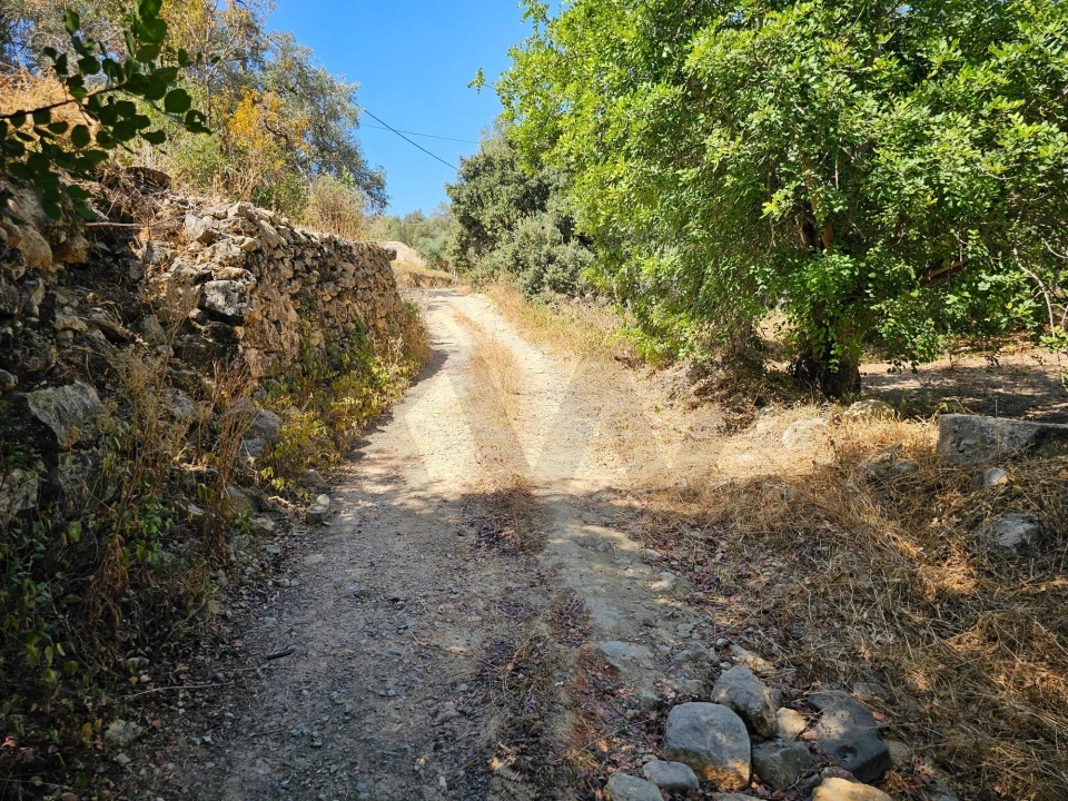 Terreno para Venda em Loule (São Clemente) Foto 3
