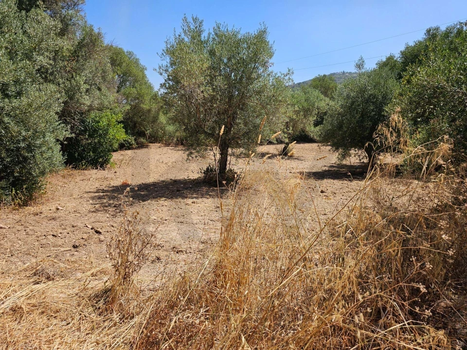 Terreno para Venda em Loule (São Clemente) Foto 9