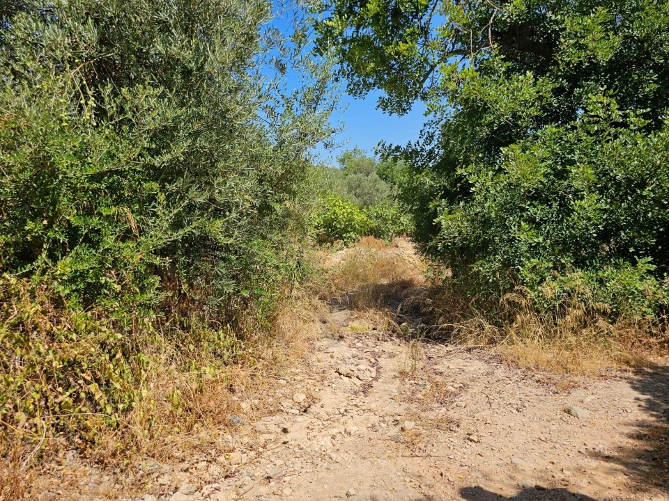 Terreno para Venda em Loule (São Clemente) Foto 18