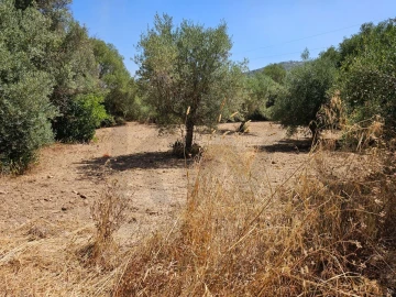 Terreno para Venda em Loule (São Clemente)