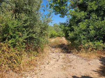 Terreno para Venda em Loule (São Clemente)
