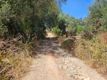 Terreno para Venda em Loule (São Clemente)