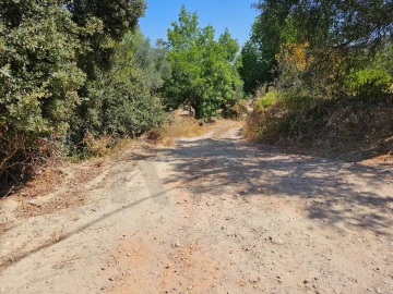 Terreno para Venda em Loule (São Clemente)