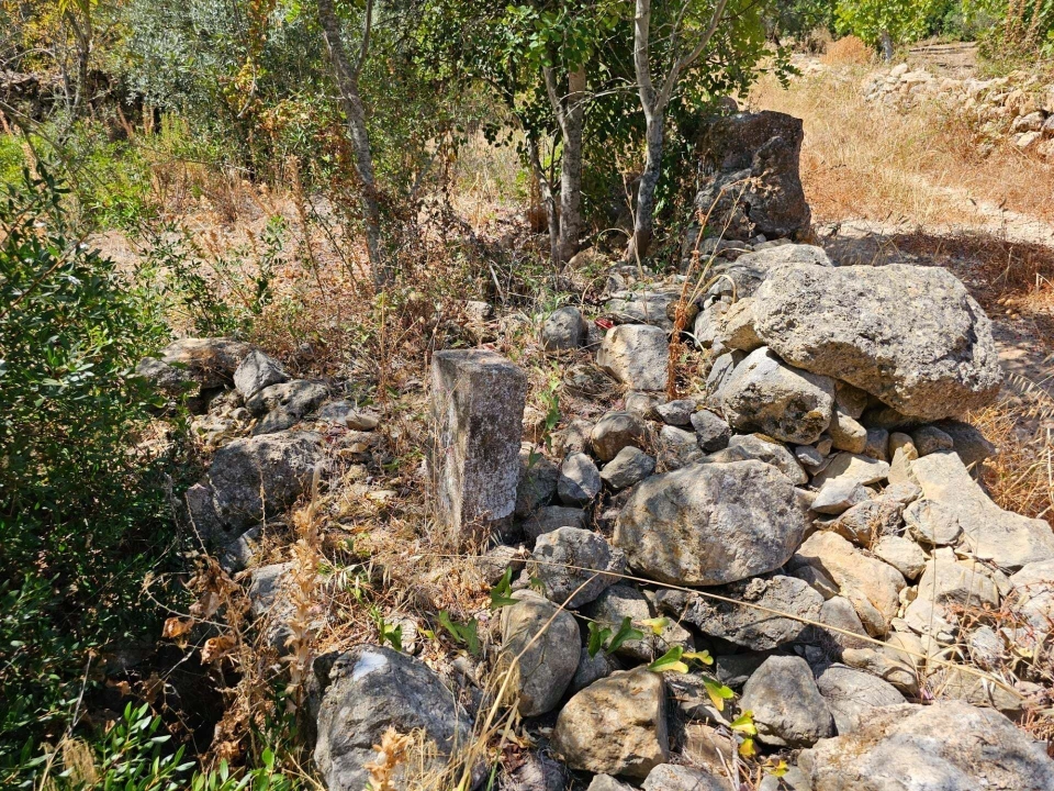 Terreno para Venda em Loule (São Clemente) Foto 12