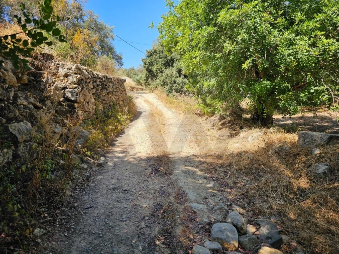 Terreno para Venda em Loule (São Clemente) Foto 3
