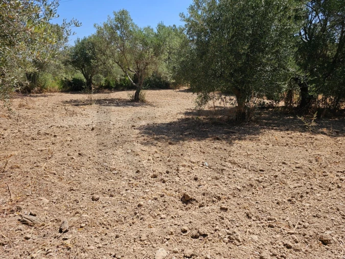 Terreno para Venda em Loule (São Clemente) Foto 8