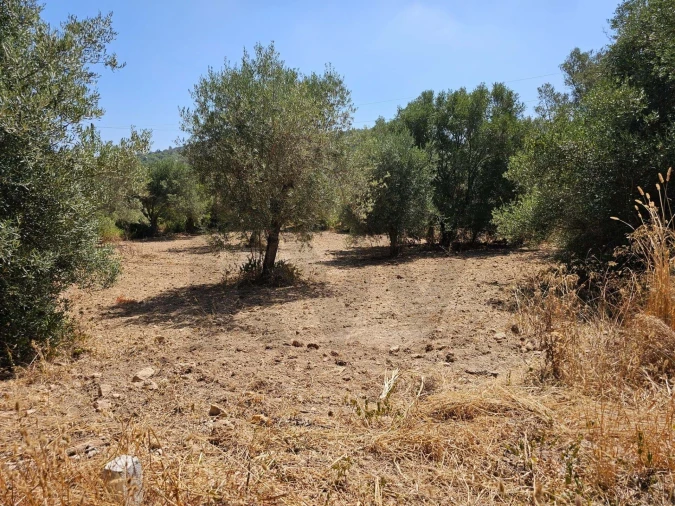 Terreno para Venda em Loule (São Clemente) Foto 10