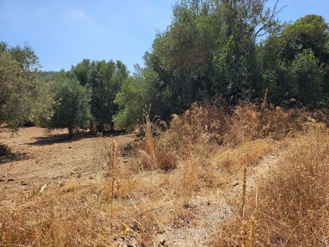 Terreno para Venda em Loule (São Clemente) Foto 11