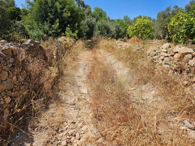 Terreno para Venda em Loule (São Clemente) Foto 14
