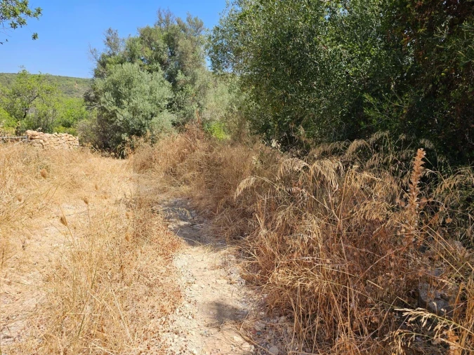 Terreno para Venda em Loule (São Clemente) Foto 13