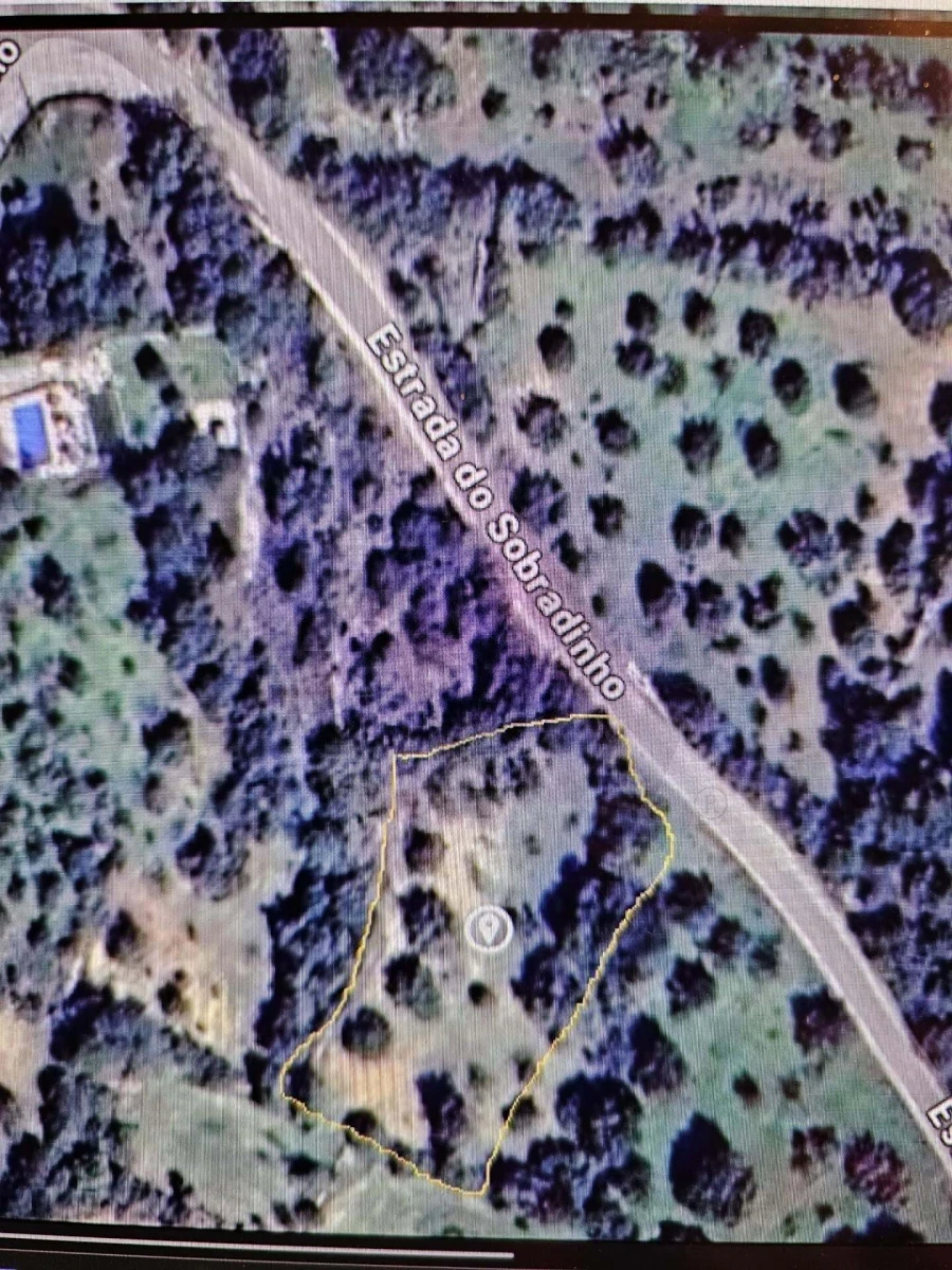 Terreno para Venda em Loule (São Clemente) Foto 21