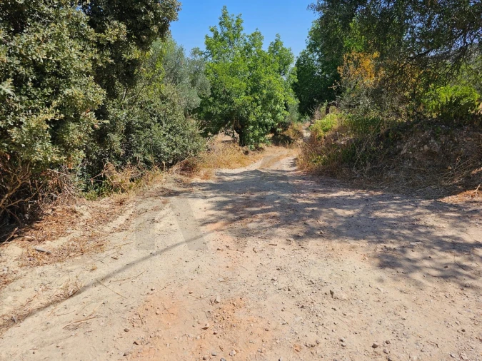Terreno para Venda em Loule (São Clemente) Foto 2