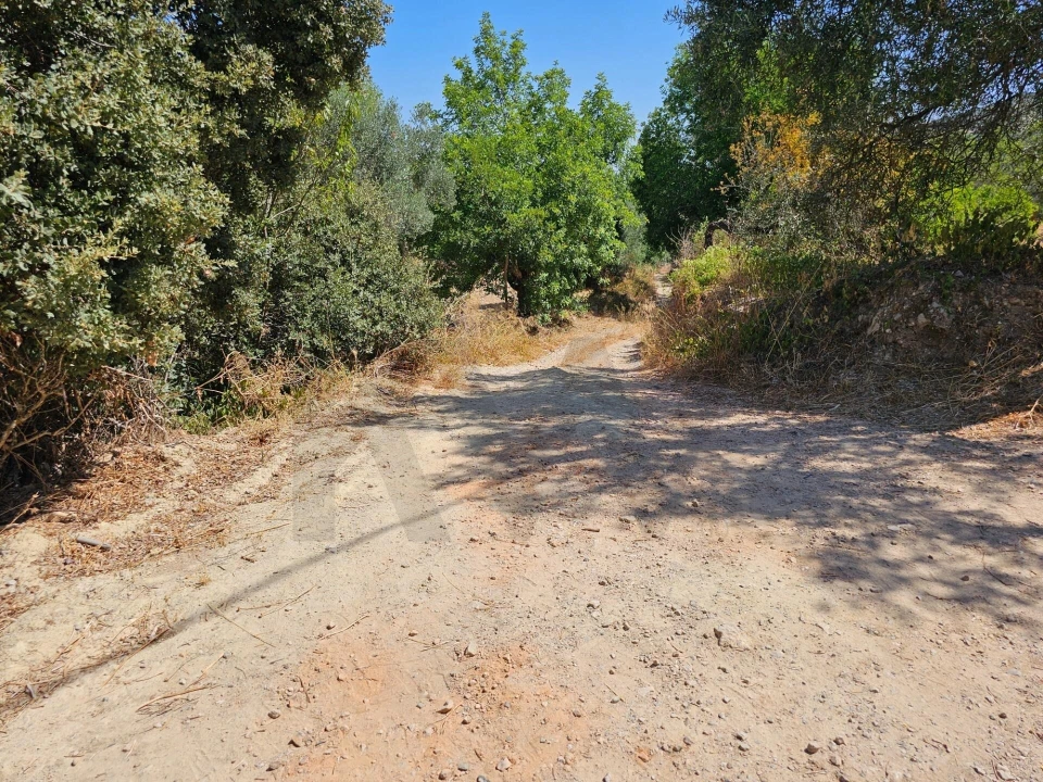 Terreno para Venda em Loule (São Clemente) Foto 2