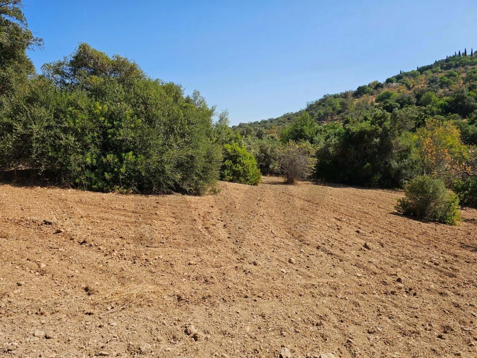 Terreno para Venda em Loule (São Clemente) Foto 3