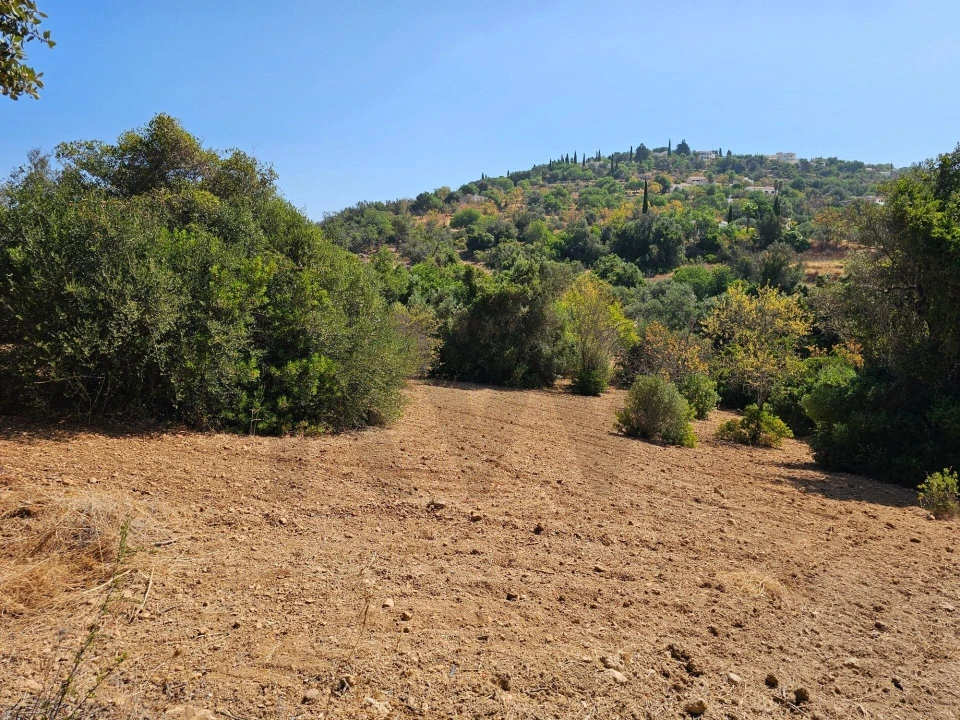 Terreno para Venda em Loule (São Clemente) Foto 2