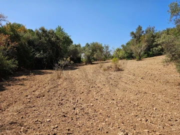 Terreno para Venda em Loule (São Clemente)
