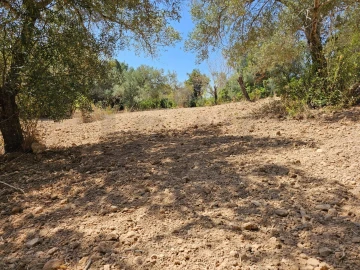 Terreno para Venda em Loule (São Clemente)