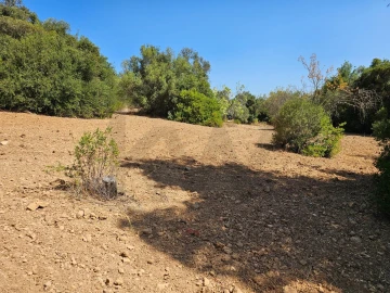 Terreno para Venda em Loule (São Clemente)