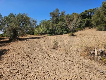 Terreno para Venda em Loule (São Clemente)