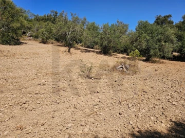 Terreno para Venda em Loule (São Clemente)
