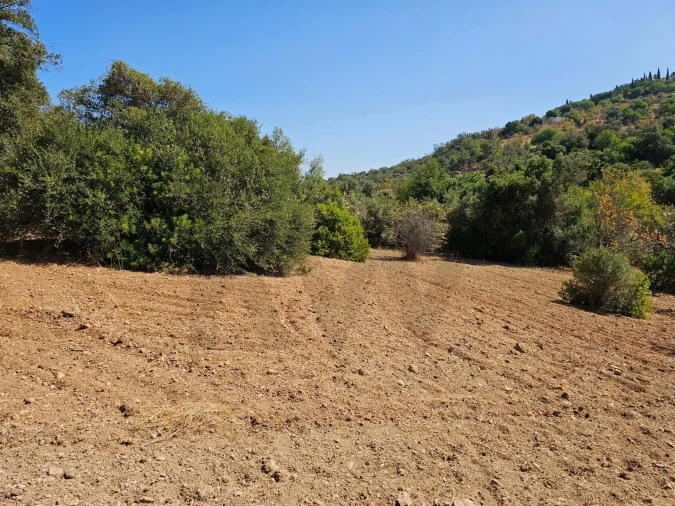 Terreno para Venda em Loule (São Clemente) Foto 3