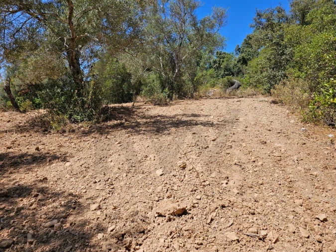 Terreno para Venda em Loule (São Clemente) Foto 13