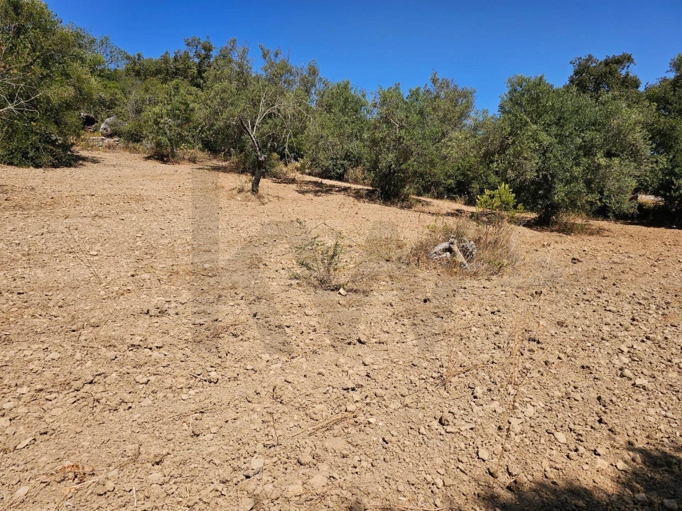 Terreno para Venda em Loule (São Clemente) Foto 7