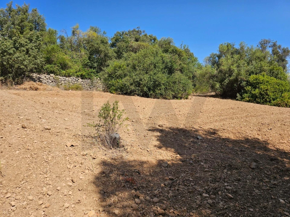 Terreno para Venda em Loule (São Clemente) Foto 5